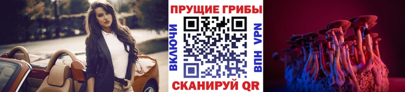 ОМГ ОМГ зеркало  Кораблино  Псилоцибиновые грибы MAGIC MUSHROOMS 